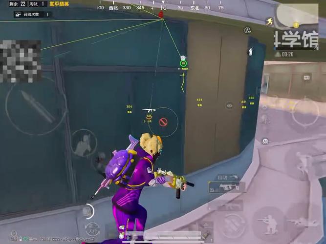 突破游戏界限:探索和平精英辅助工具的神秘世